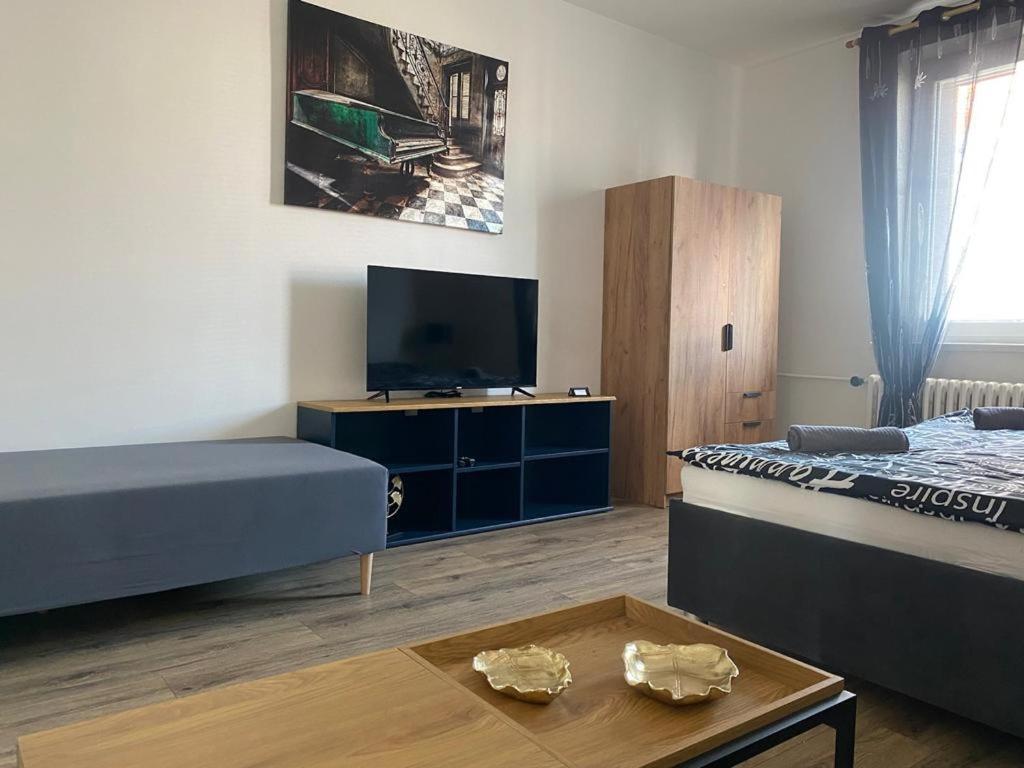 Cerna Ruze - Apartman 4 Plzeň Extérieur photo