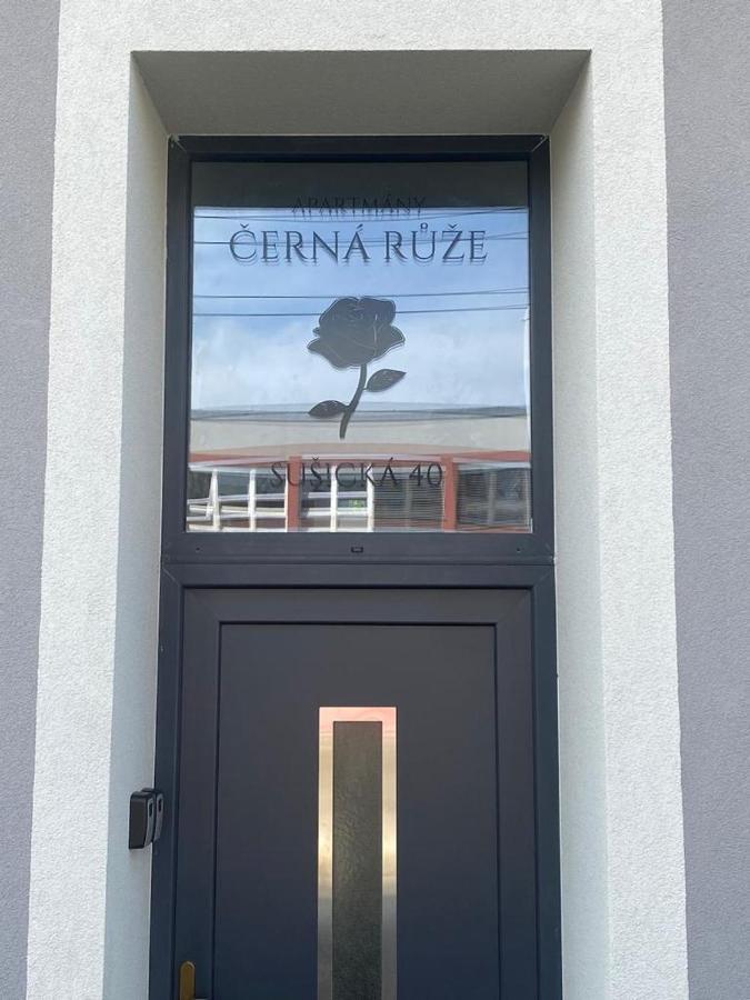 Cerna Ruze - Apartman 4 Plzeň Extérieur photo