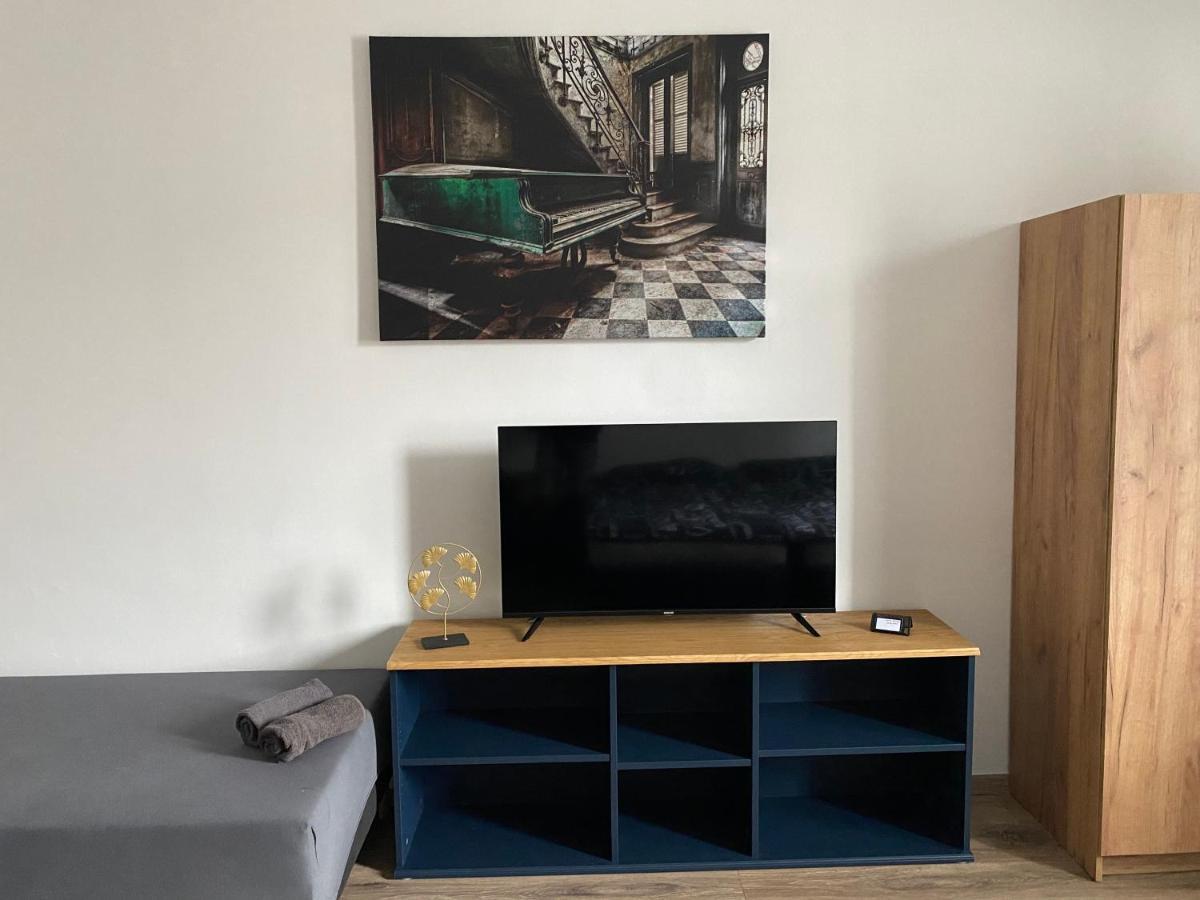Cerna Ruze - Apartman 4 Plzeň Extérieur photo